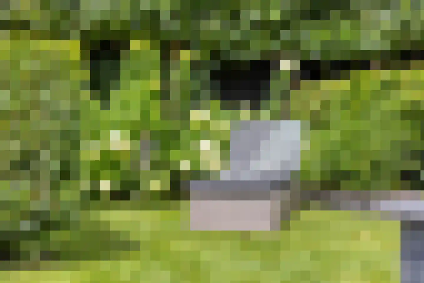 Sterremos 4 Veenendaal thumbnail 30