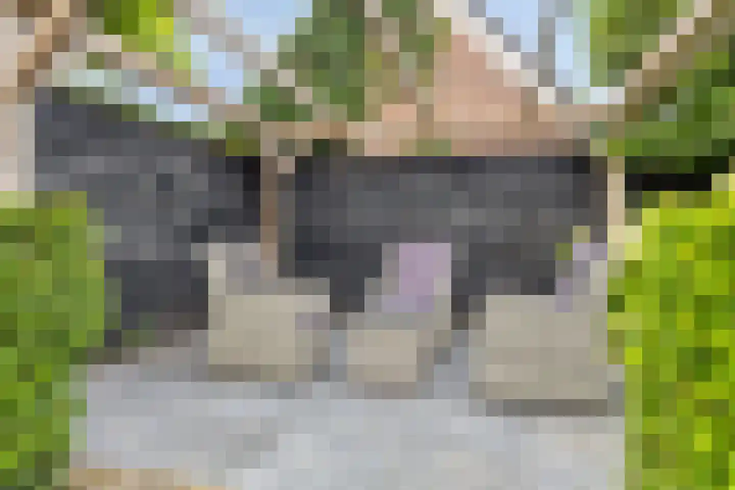 Sterremos 4 Veenendaal thumbnail 31