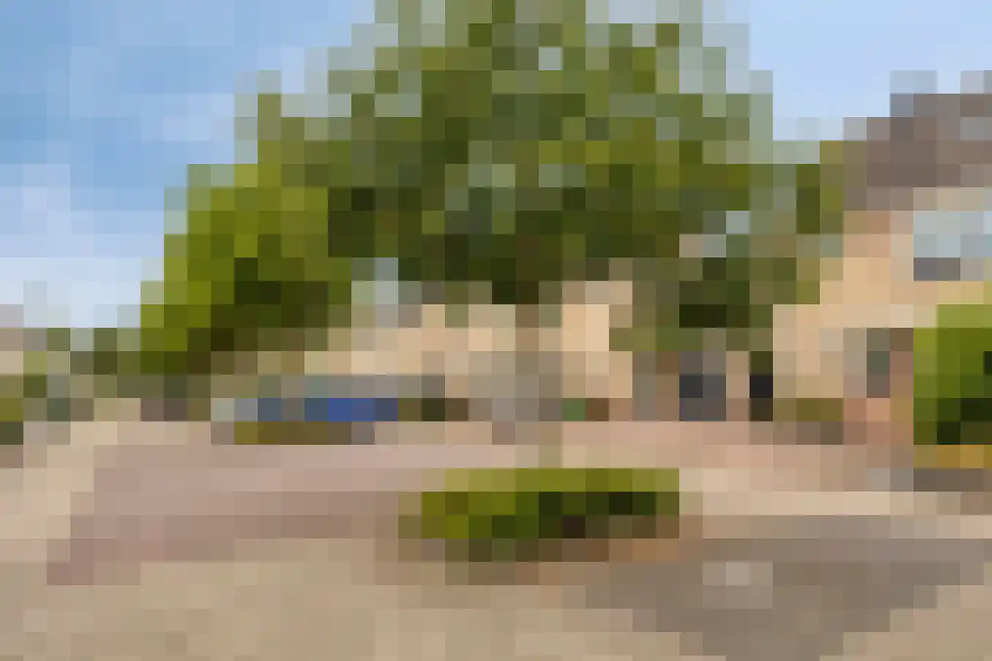 Sterremos 4 Veenendaal thumbnail 33