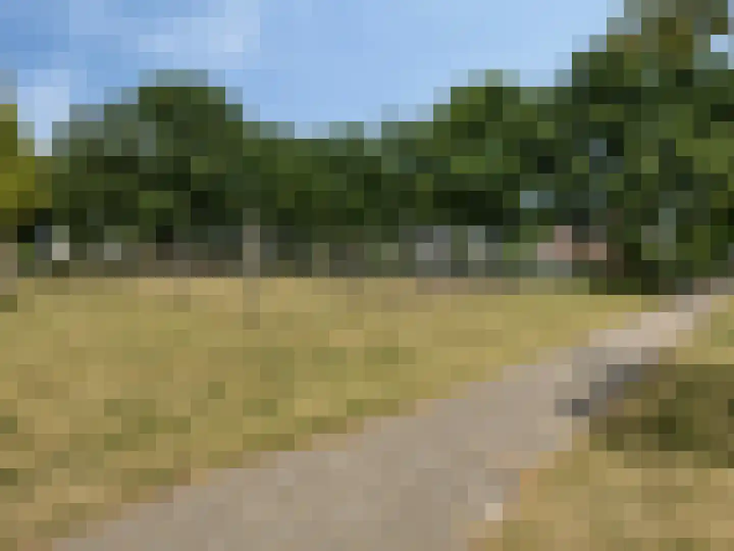 Sterremos 4 Veenendaal thumbnail 35