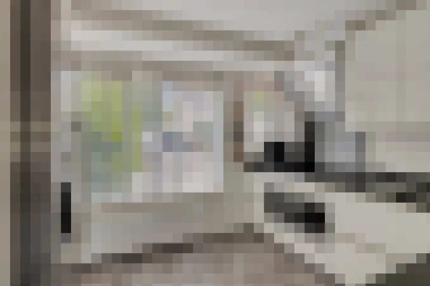 Sterremos 4 Veenendaal thumbnail 4