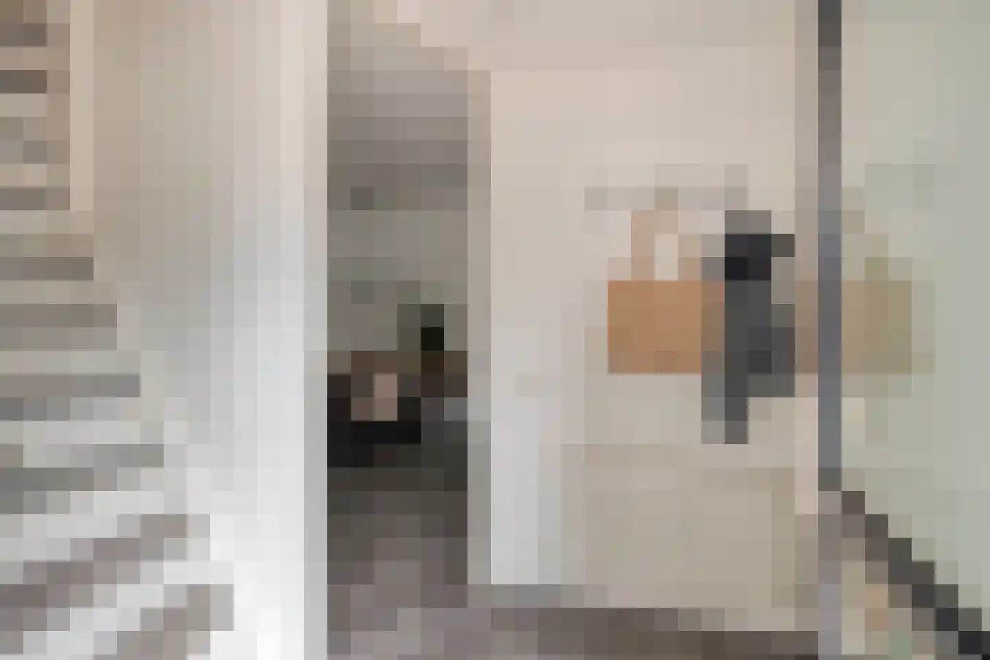 Sterremos 4 Veenendaal thumbnail 6