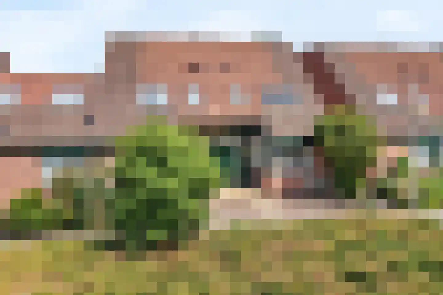 Sterremos 40 in Nieuwerkerk aan den IJssel