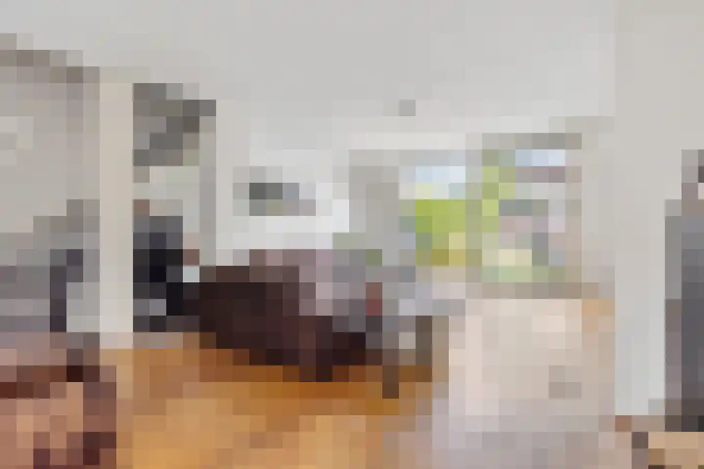 Sterremos 40 Nieuwerkerk aan den IJssel thumbnail 10