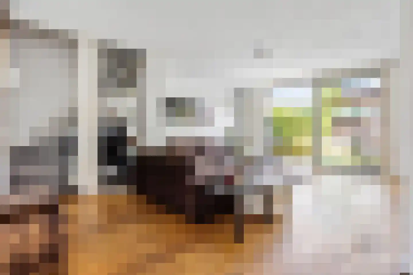 Sterremos 40 Nieuwerkerk aan den IJssel thumbnail 11