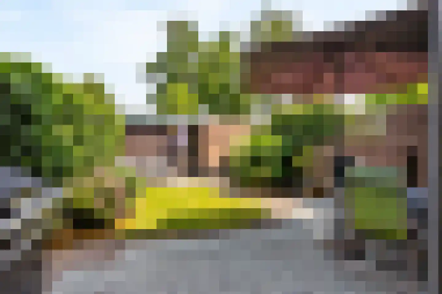 Sterremos 40 Nieuwerkerk aan den IJssel thumbnail 14