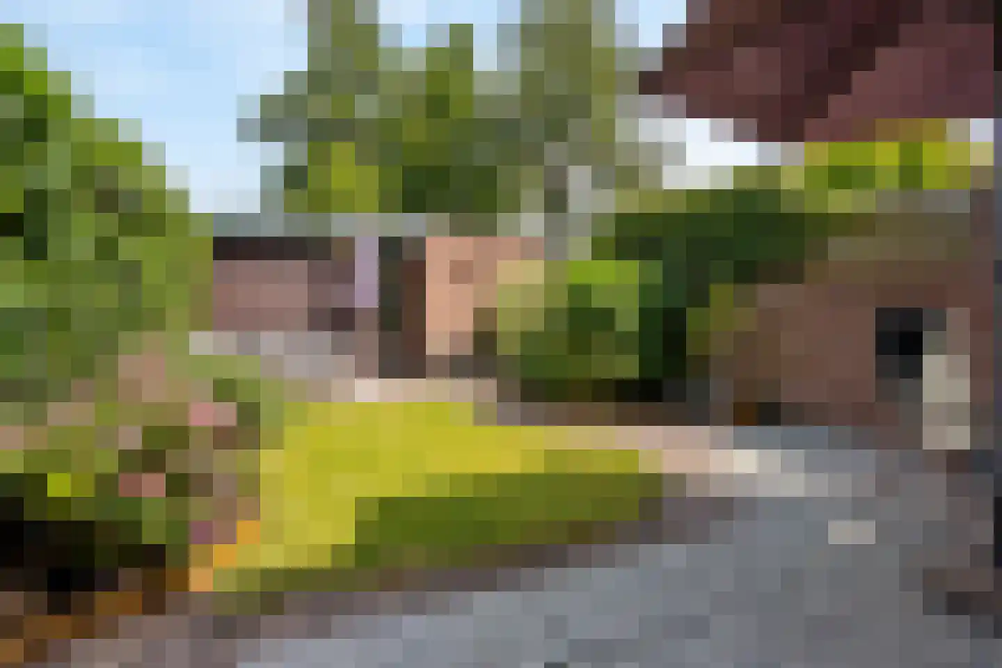 Sterremos 40 Nieuwerkerk aan den IJssel thumbnail 15