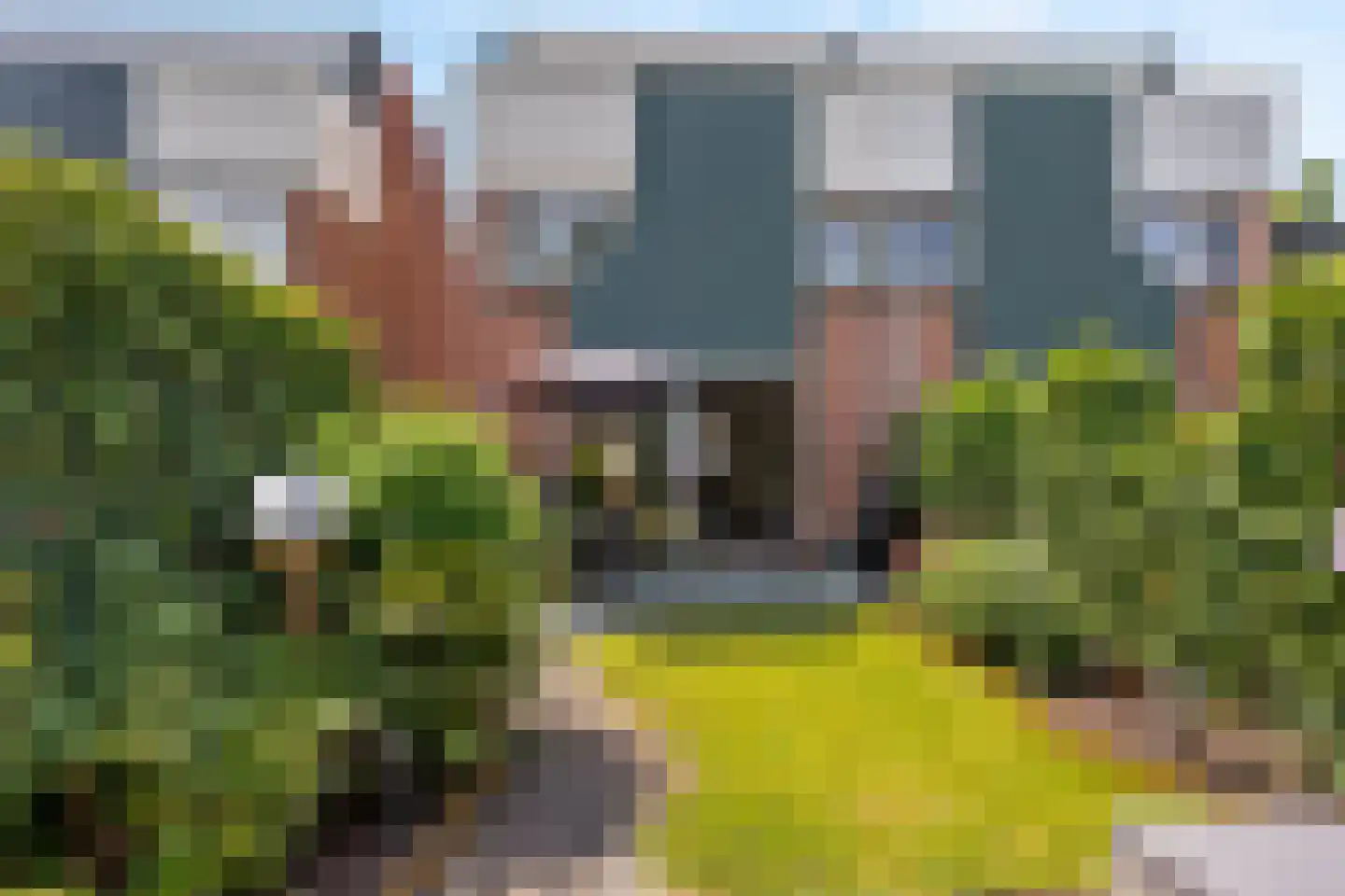 Sterremos 40 Nieuwerkerk aan den IJssel thumbnail 17