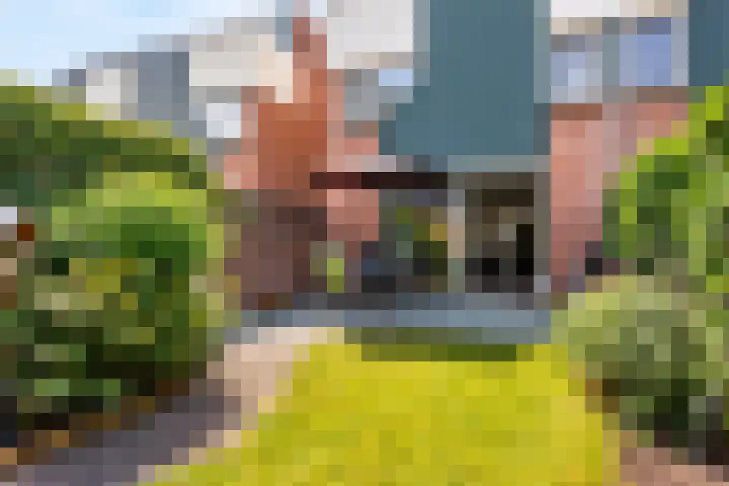 Sterremos 40 Nieuwerkerk aan den IJssel thumbnail 18