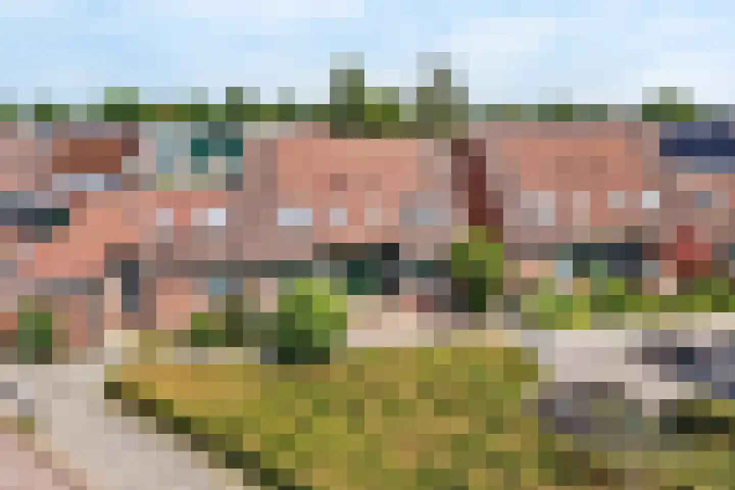 Sterremos 40 Nieuwerkerk aan den IJssel thumbnail 48