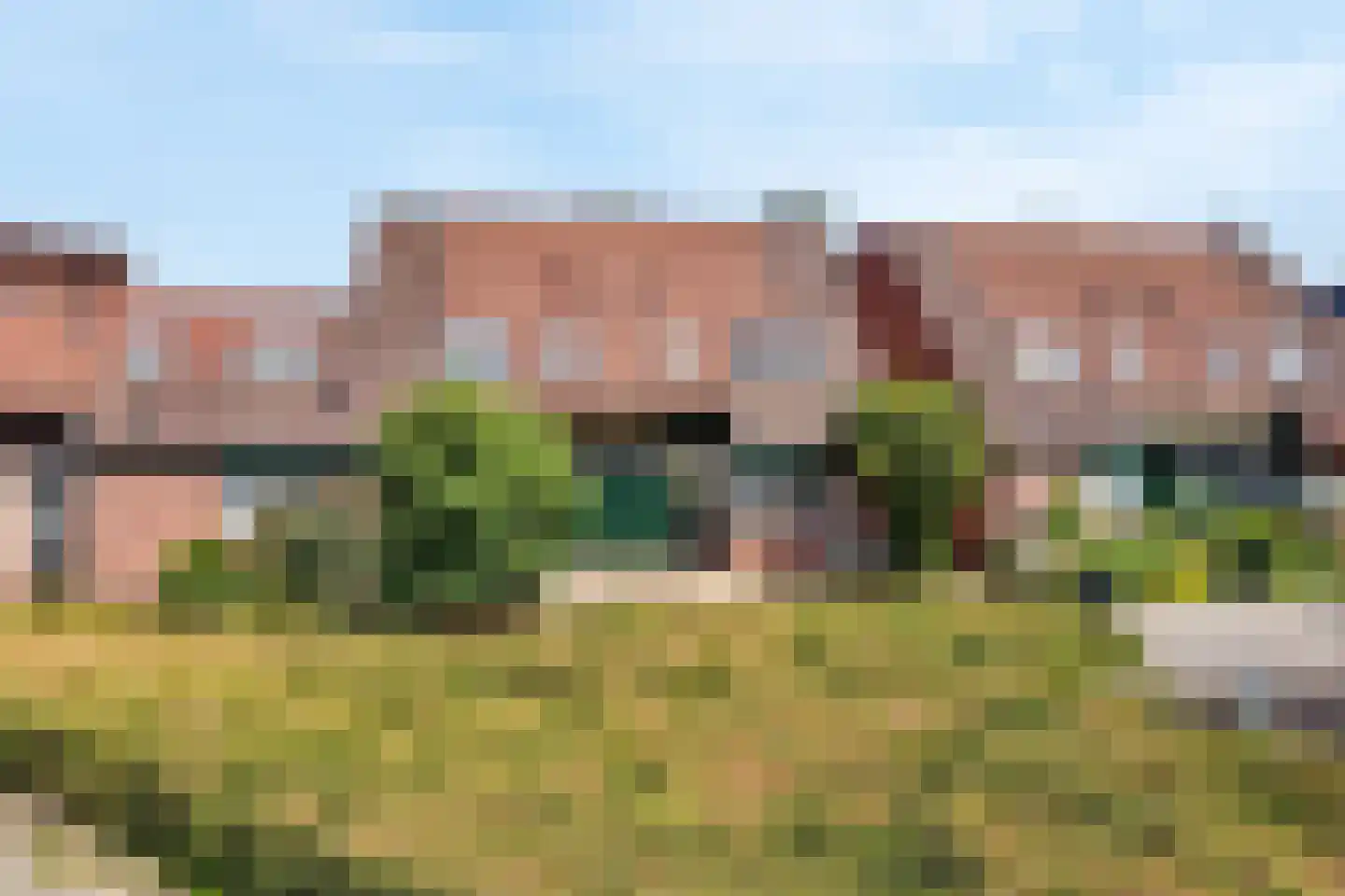 Sterremos 40 Nieuwerkerk aan den IJssel thumbnail 5