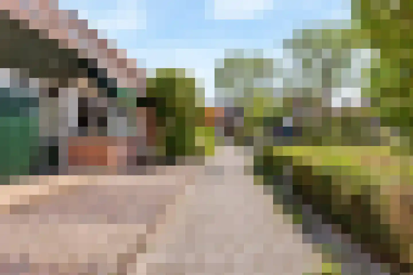 Sterremos 40 Nieuwerkerk aan den IJssel thumbnail 52