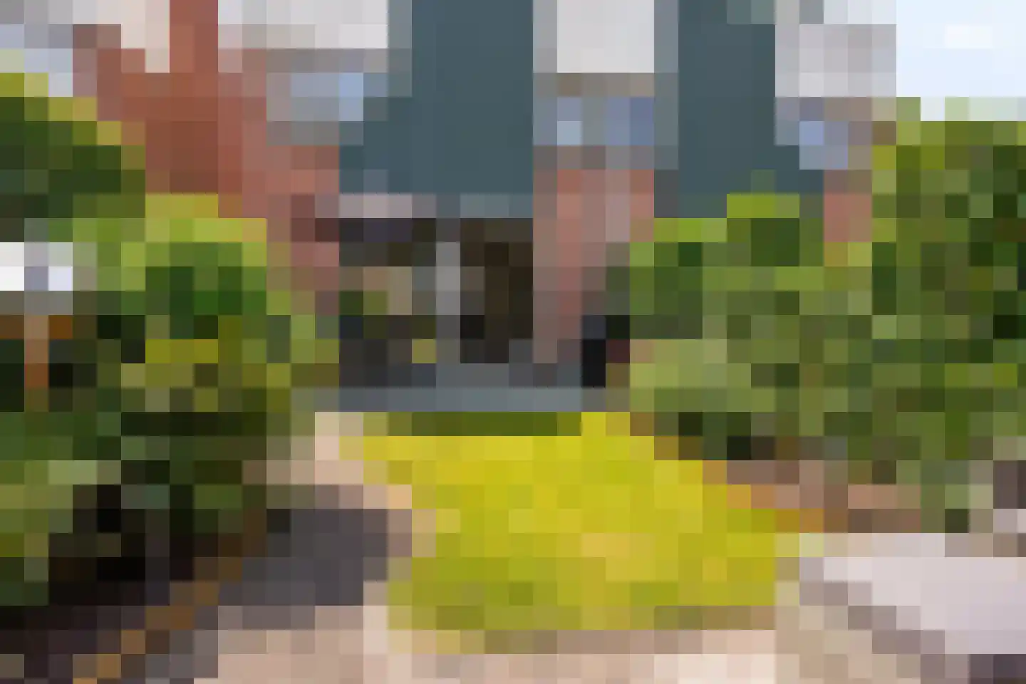 Sterremos 40 Nieuwerkerk aan den IJssel thumbnail 53