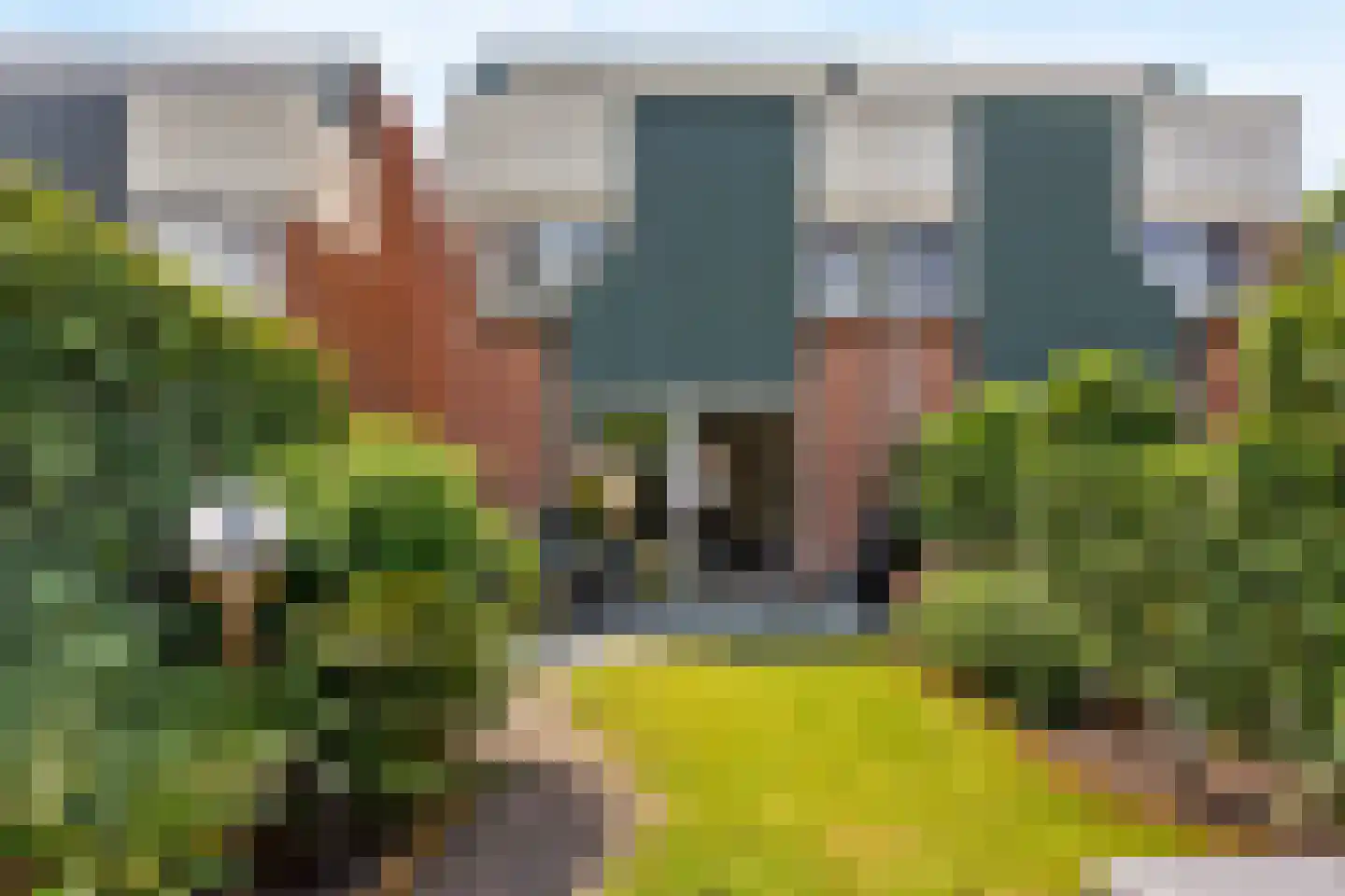 Sterremos 40 Nieuwerkerk aan den IJssel thumbnail 54