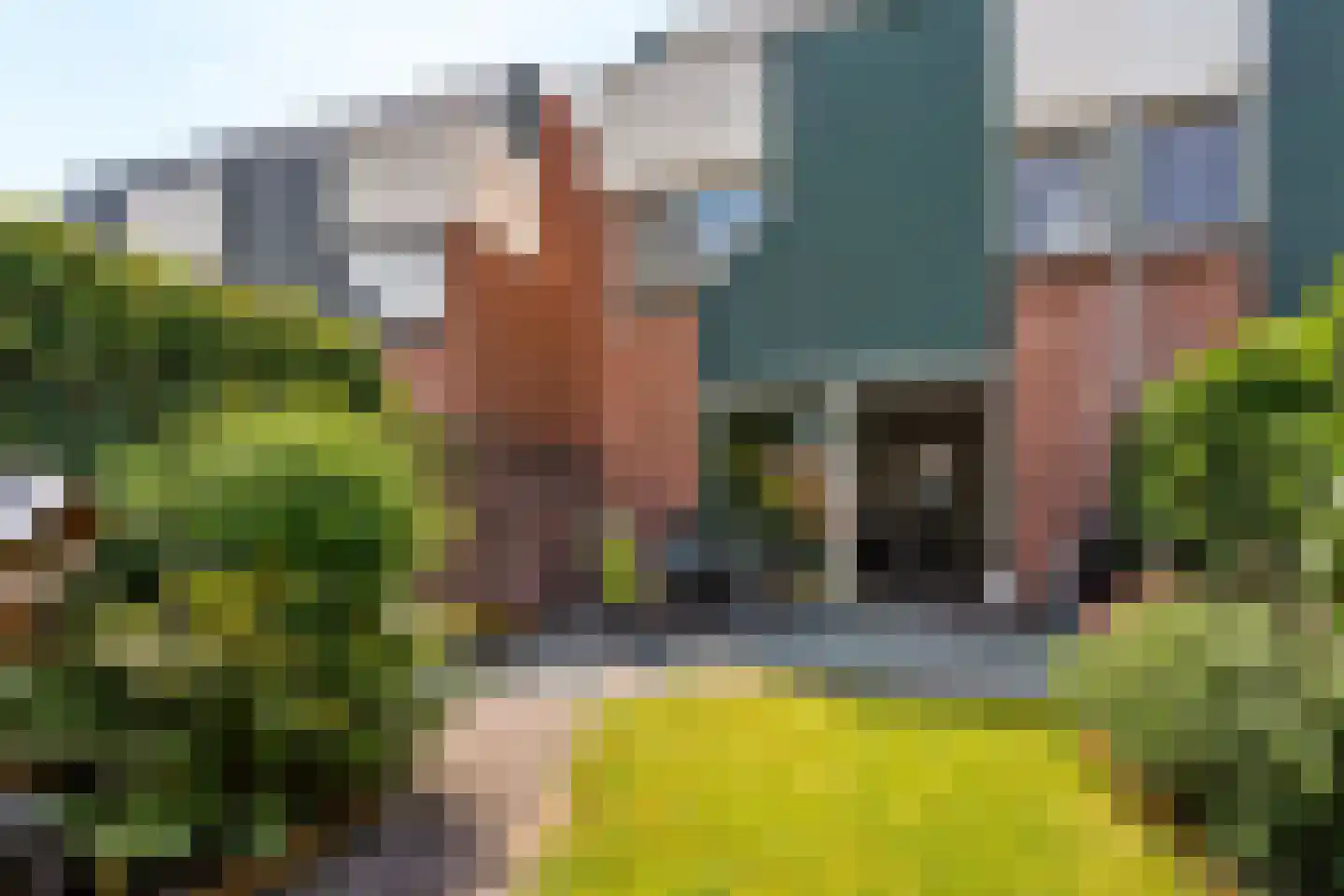 Sterremos 40 Nieuwerkerk aan den IJssel thumbnail 55