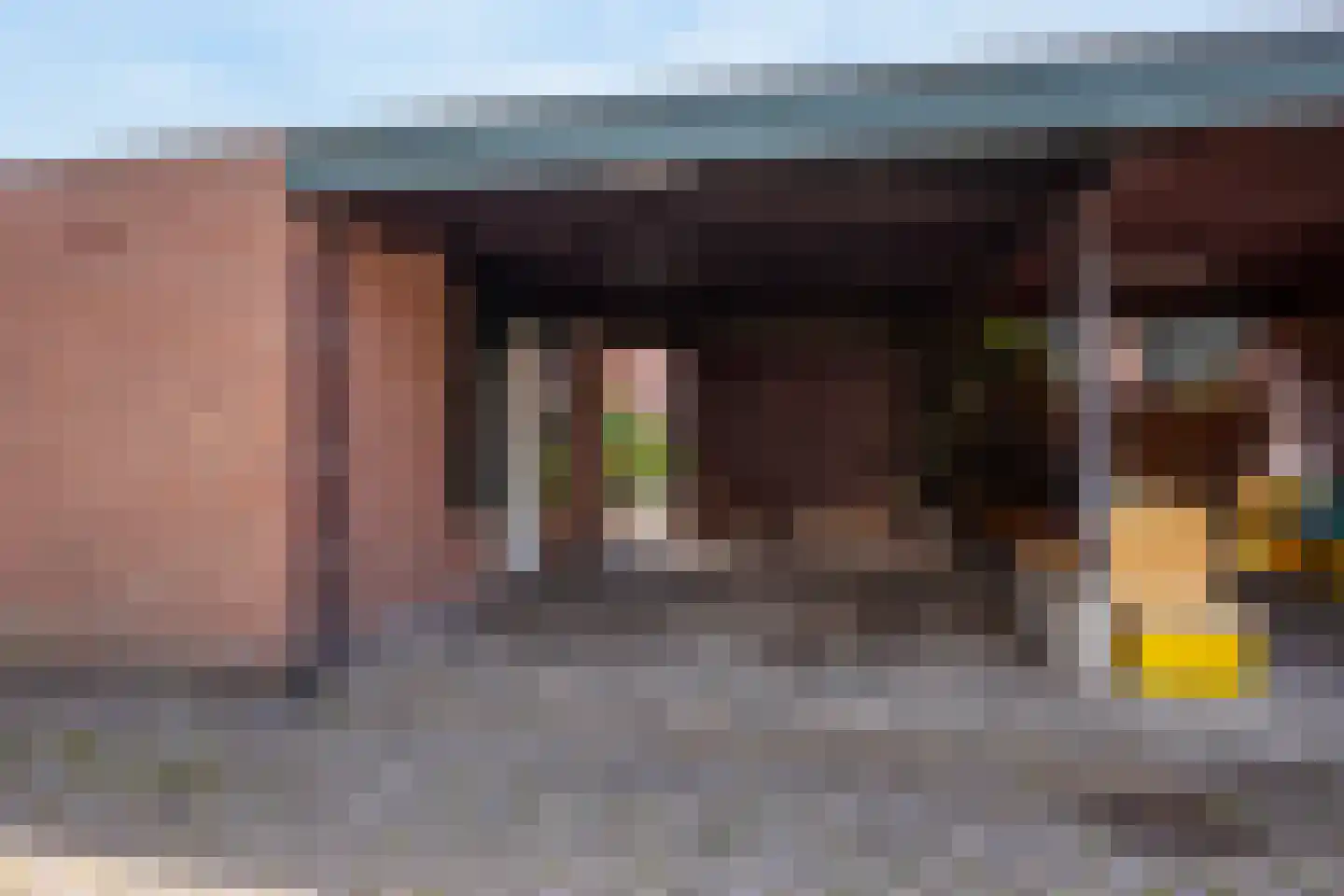 Sterremos 40 Nieuwerkerk aan den IJssel thumbnail 56