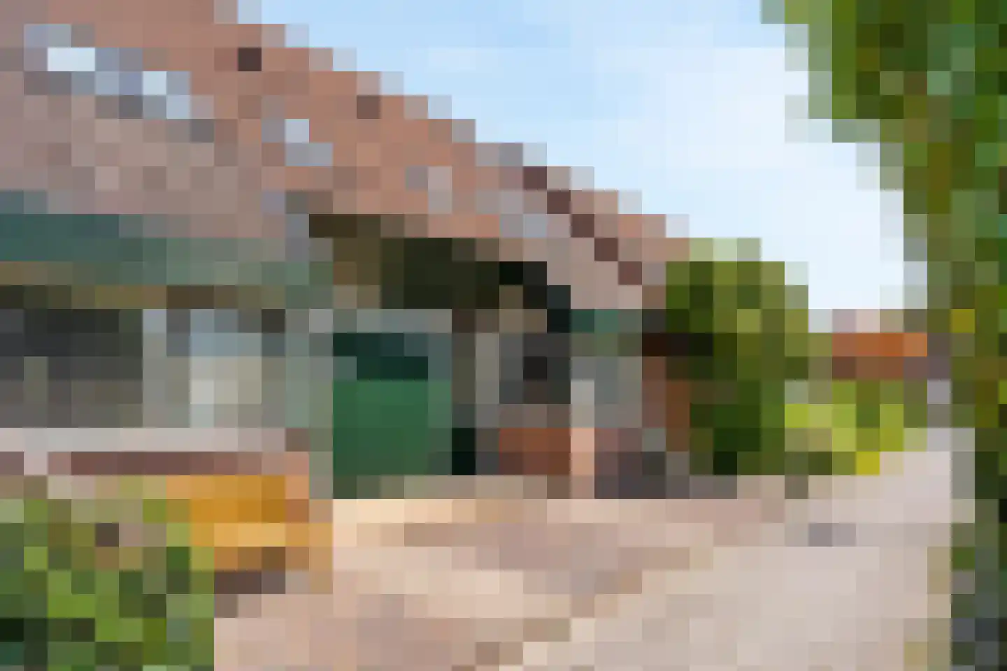 Sterremos 40 Nieuwerkerk aan den IJssel thumbnail 6