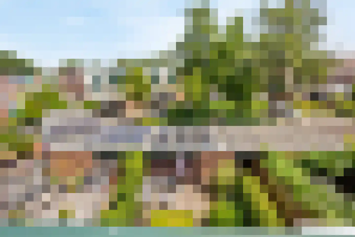 Sterremos 40 Nieuwerkerk aan den IJssel thumbnail 61