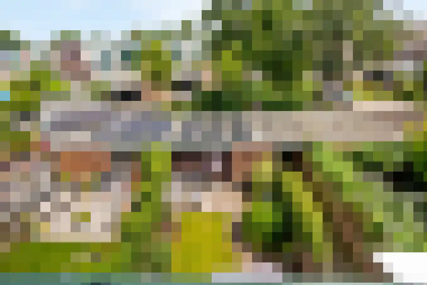 Sterremos 40 Nieuwerkerk aan den IJssel thumbnail 62