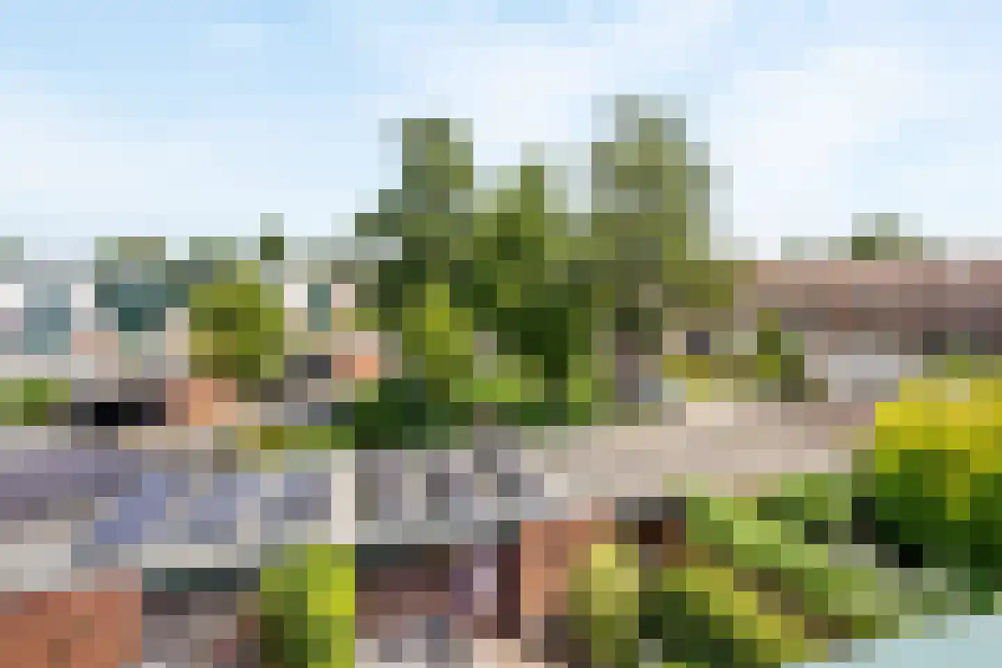 Sterremos 40 Nieuwerkerk aan den IJssel thumbnail 63