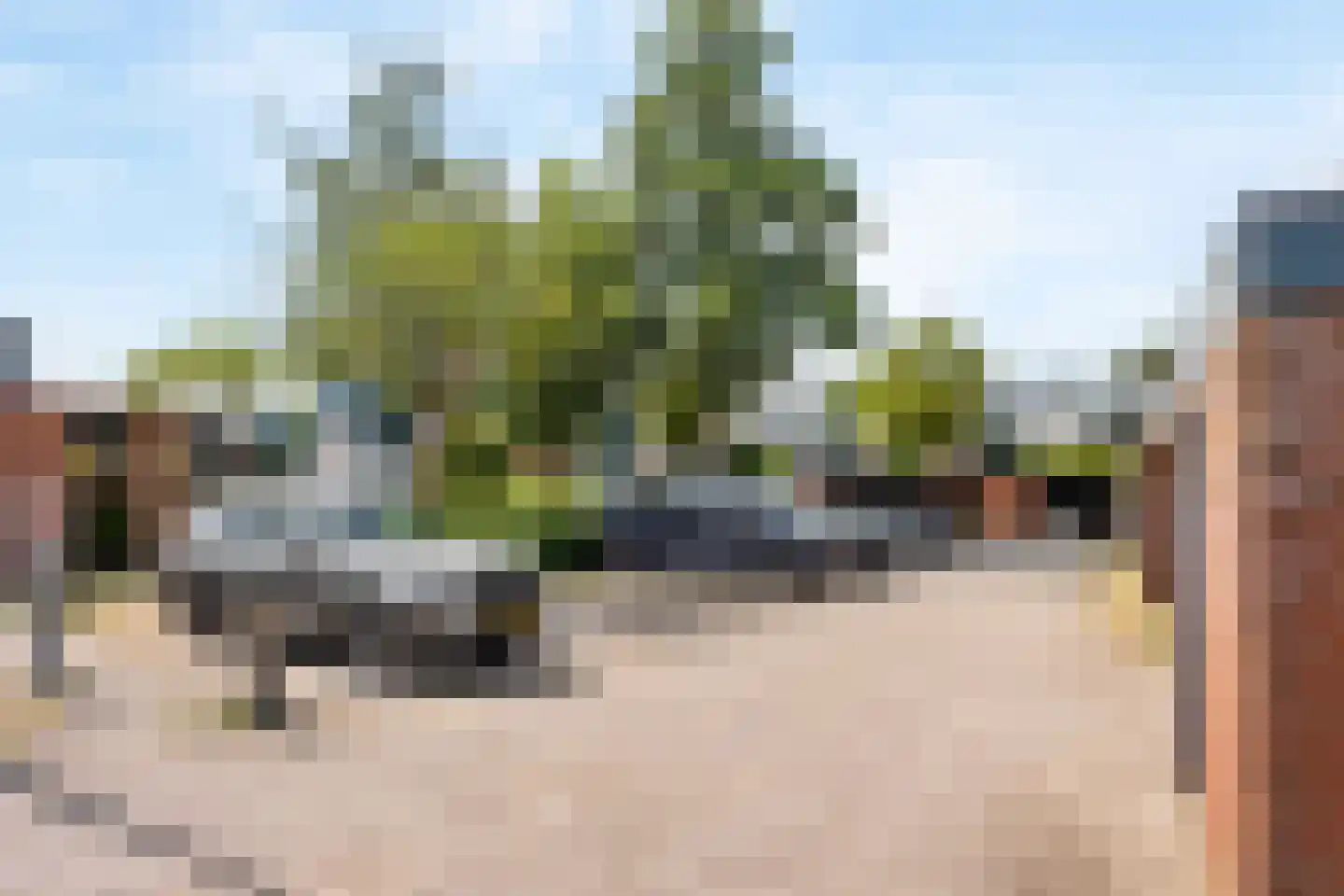 Sterremos 40 Nieuwerkerk aan den IJssel thumbnail 65