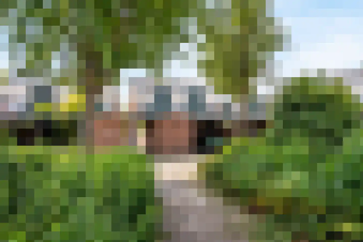 Sterremos 40 Nieuwerkerk aan den IJssel thumbnail 66