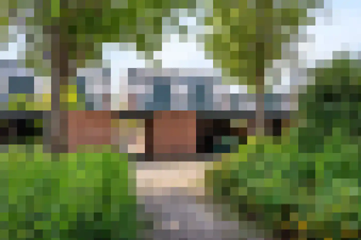 Sterremos 40 Nieuwerkerk aan den IJssel thumbnail 67