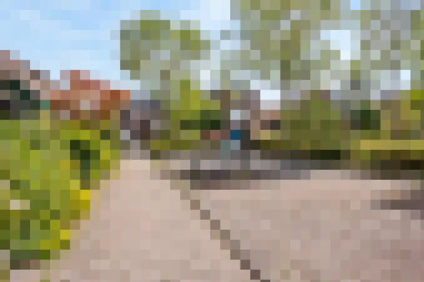 Sterremos 40 Nieuwerkerk aan den IJssel thumbnail 68