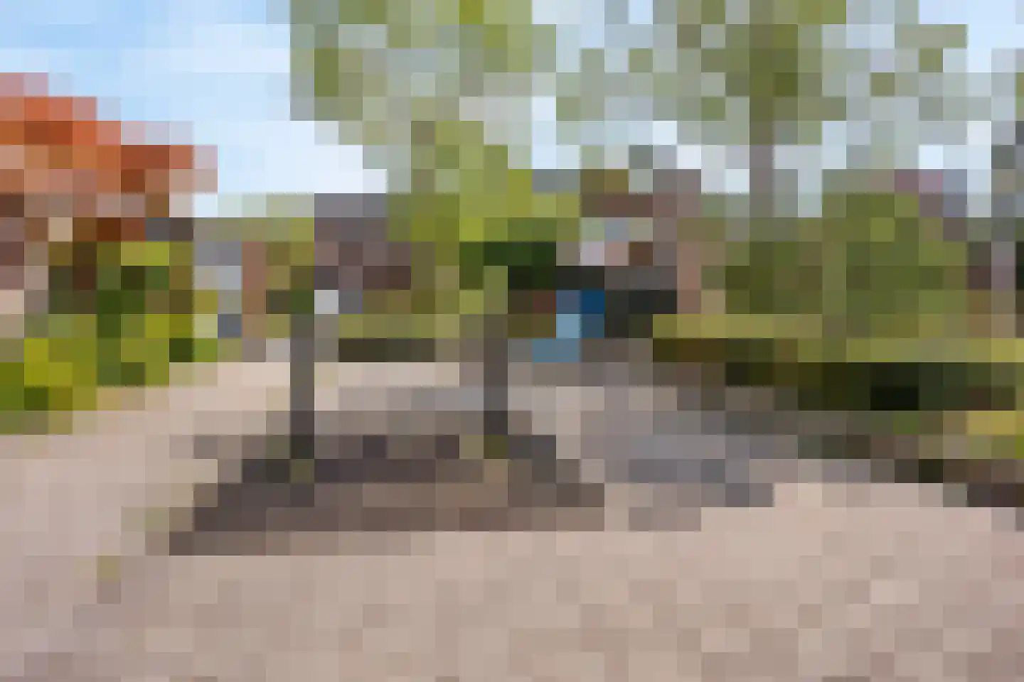 Sterremos 40 Nieuwerkerk aan den IJssel thumbnail 69