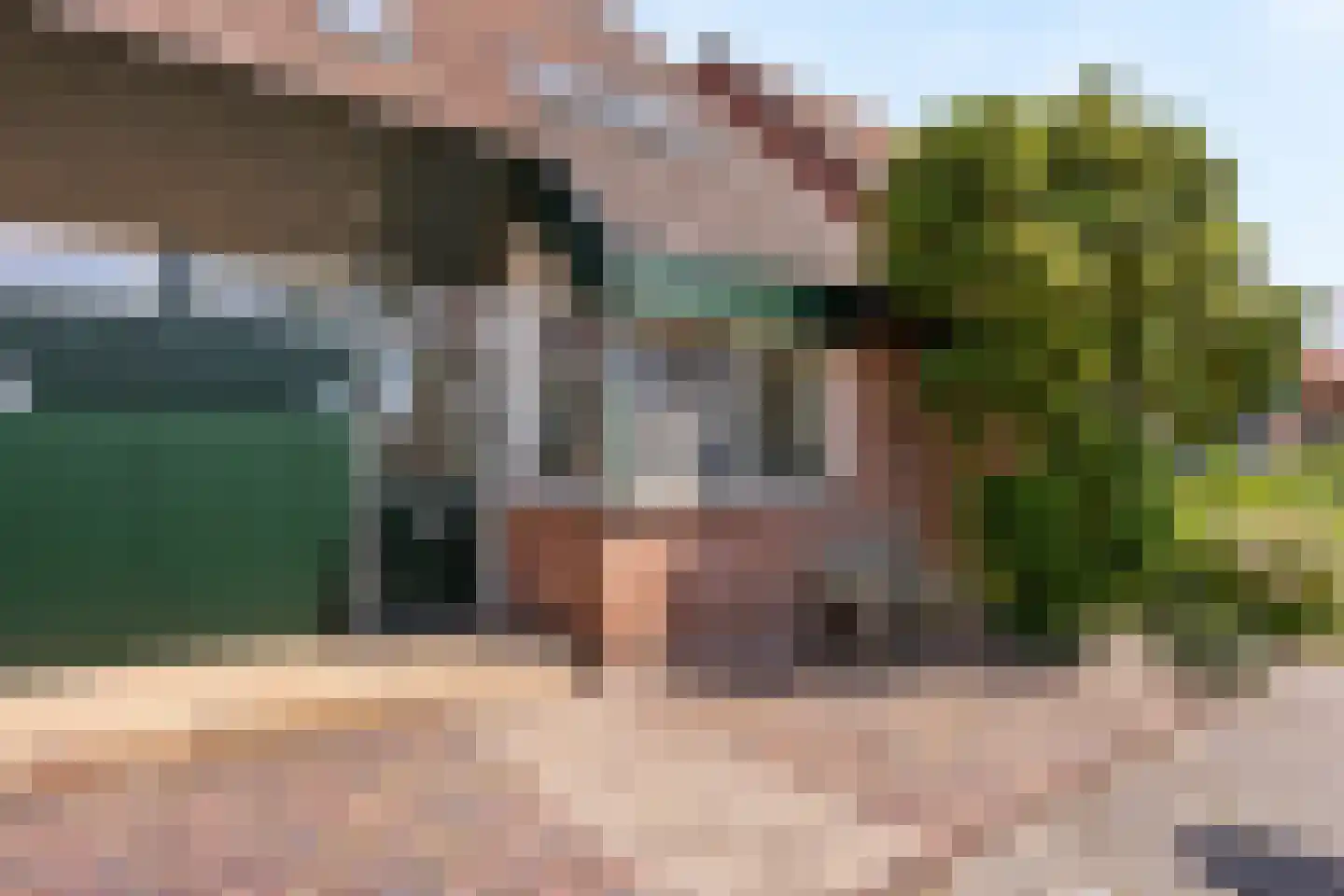 Sterremos 40 Nieuwerkerk aan den IJssel thumbnail 7