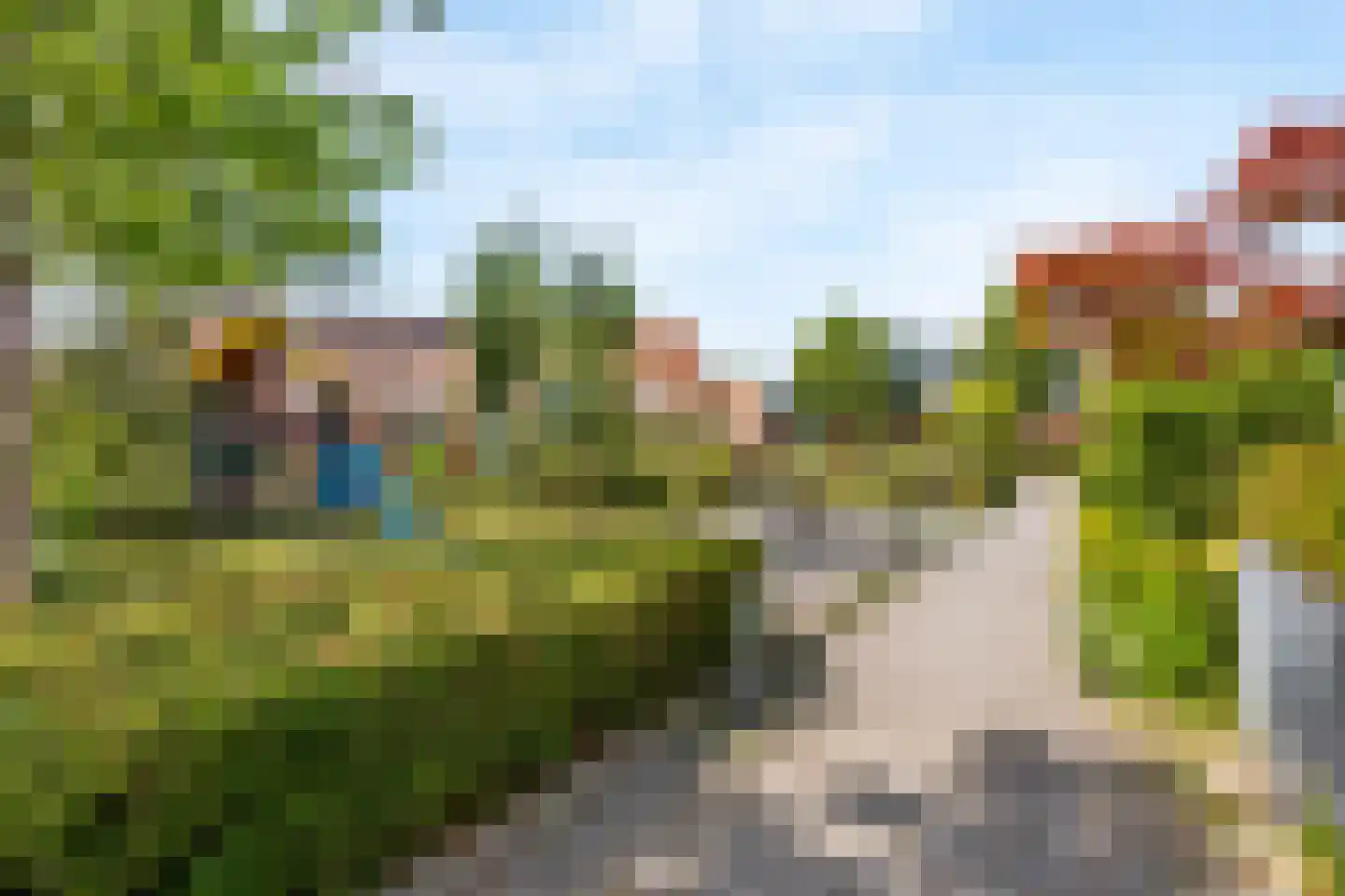 Sterremos 40 Nieuwerkerk aan den IJssel thumbnail 70