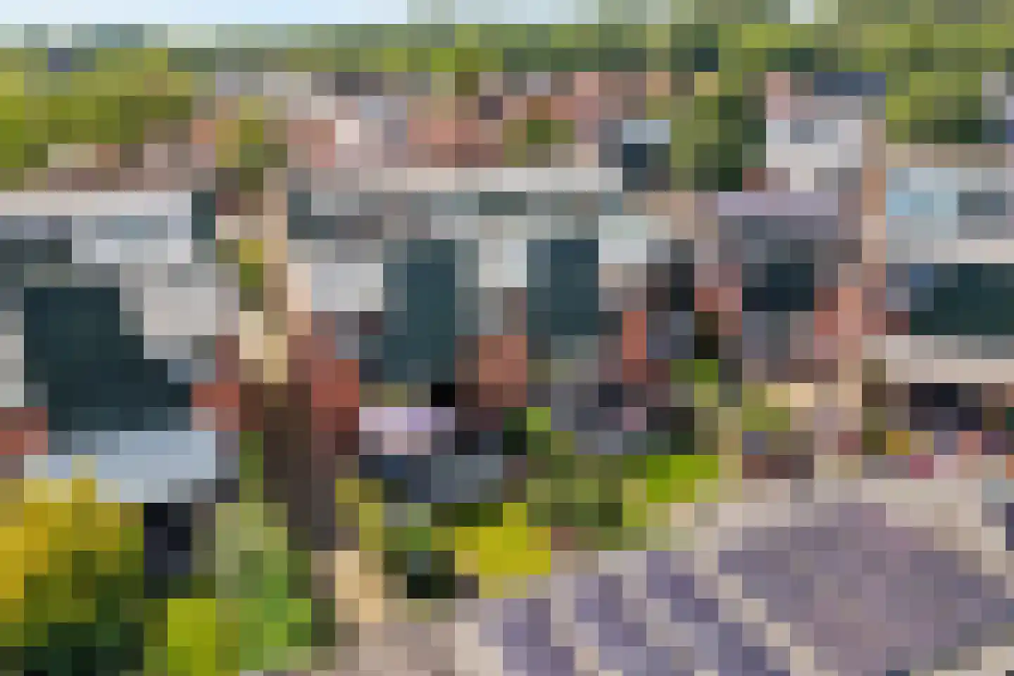 Sterremos 40 Nieuwerkerk aan den IJssel thumbnail 72