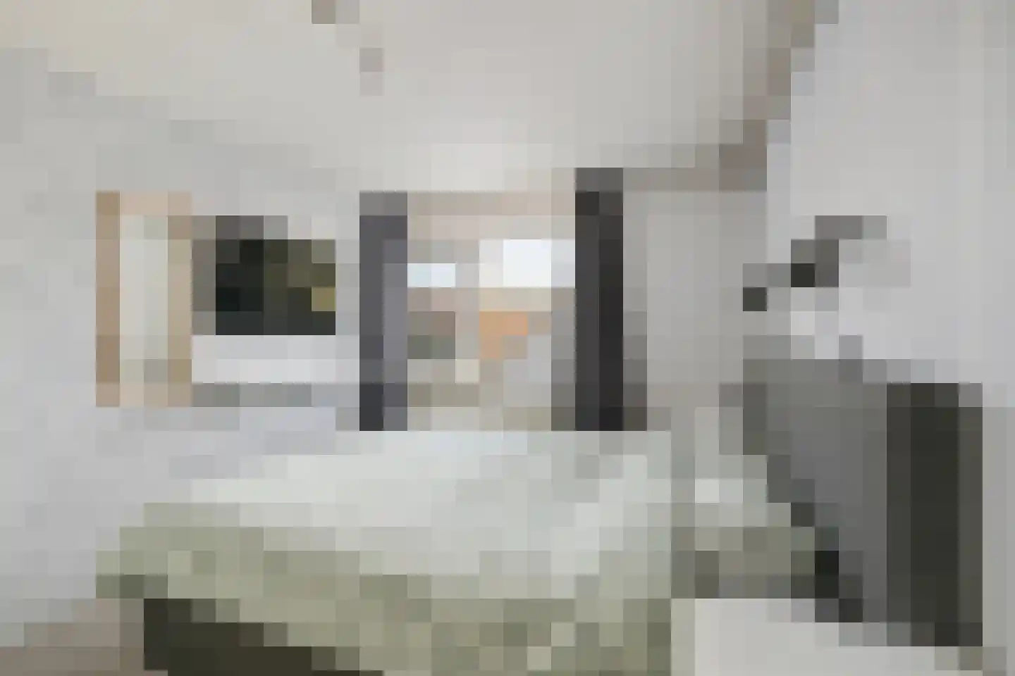 Sterremos 66 Nieuwerkerk aan den IJssel thumbnail 11