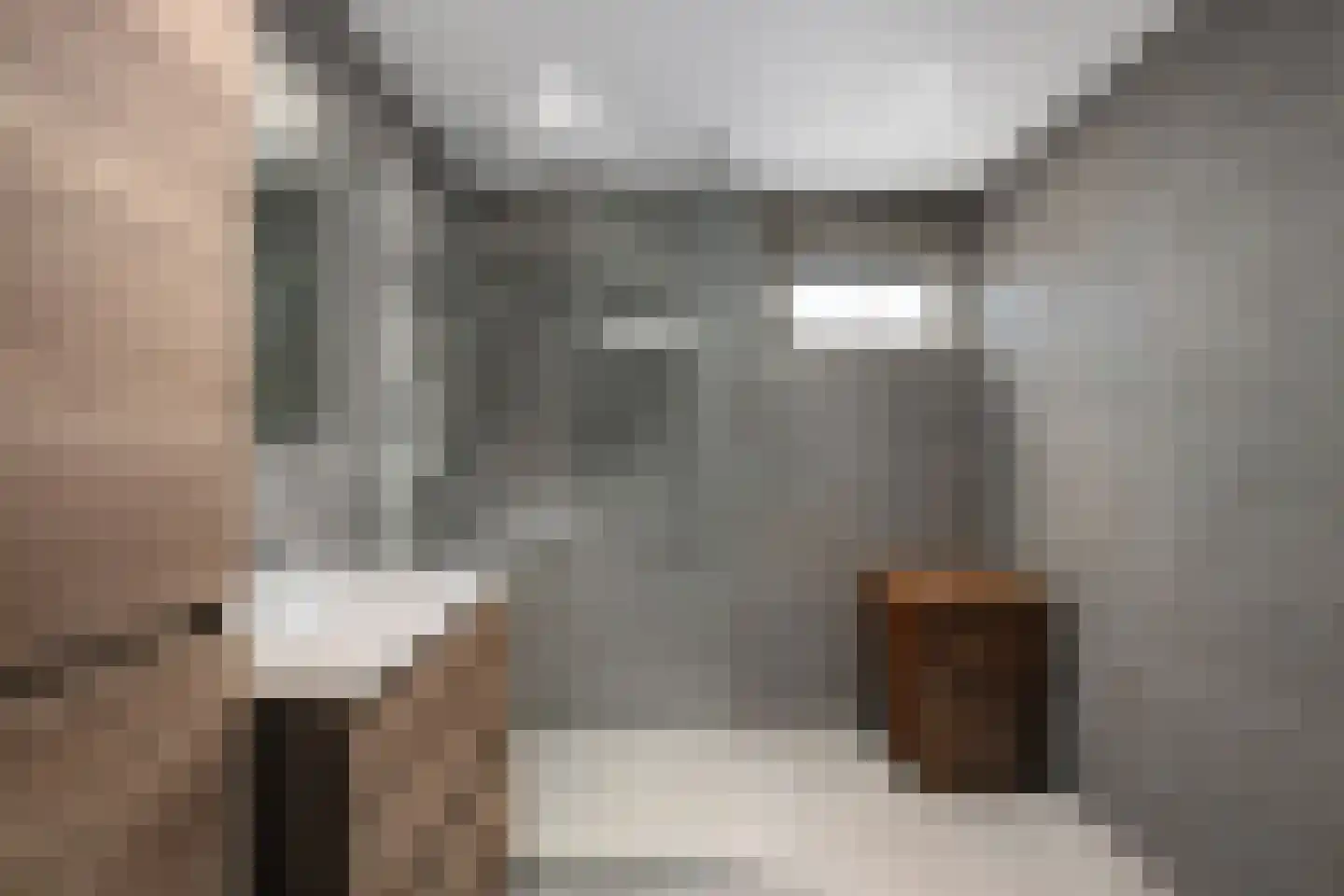 Sterremos 66 Nieuwerkerk aan den IJssel thumbnail 15