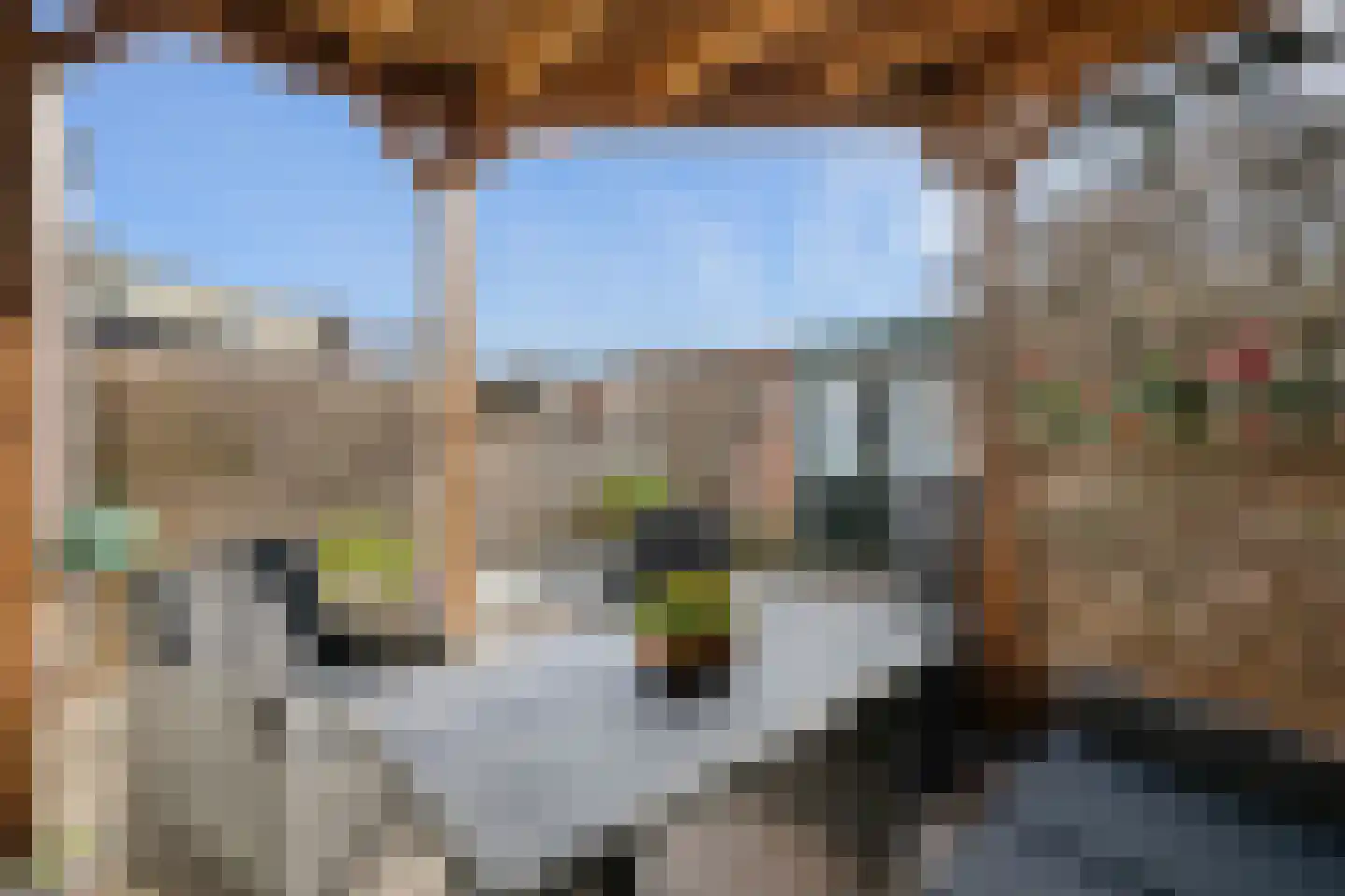 Sterremos 66 Nieuwerkerk aan den IJssel thumbnail 22