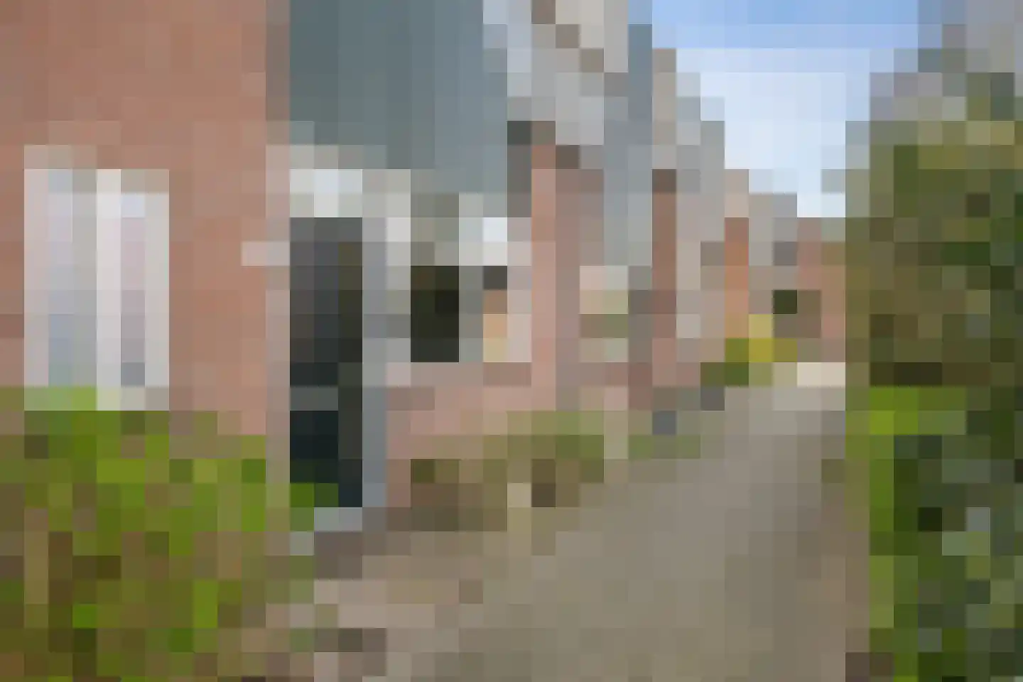 Sterremos 66 Nieuwerkerk aan den IJssel thumbnail 24