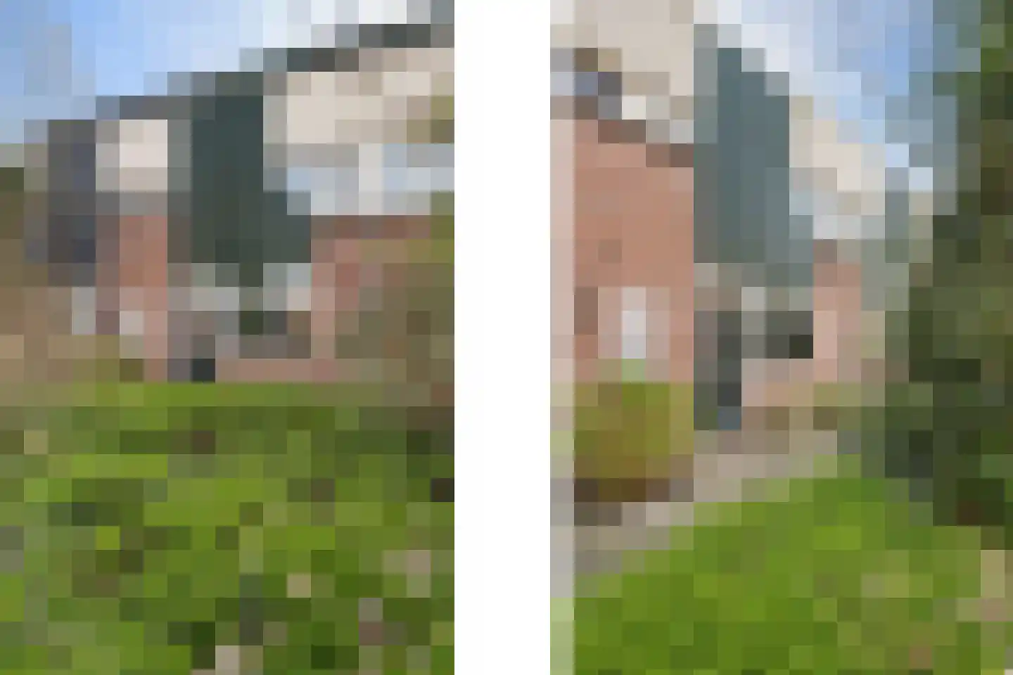 Sterremos 66 Nieuwerkerk aan den IJssel thumbnail 25