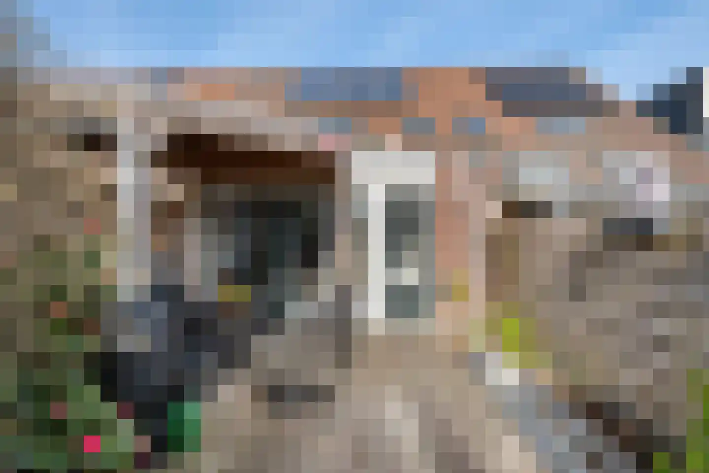 Sterremos 66 Nieuwerkerk aan den IJssel thumbnail 4