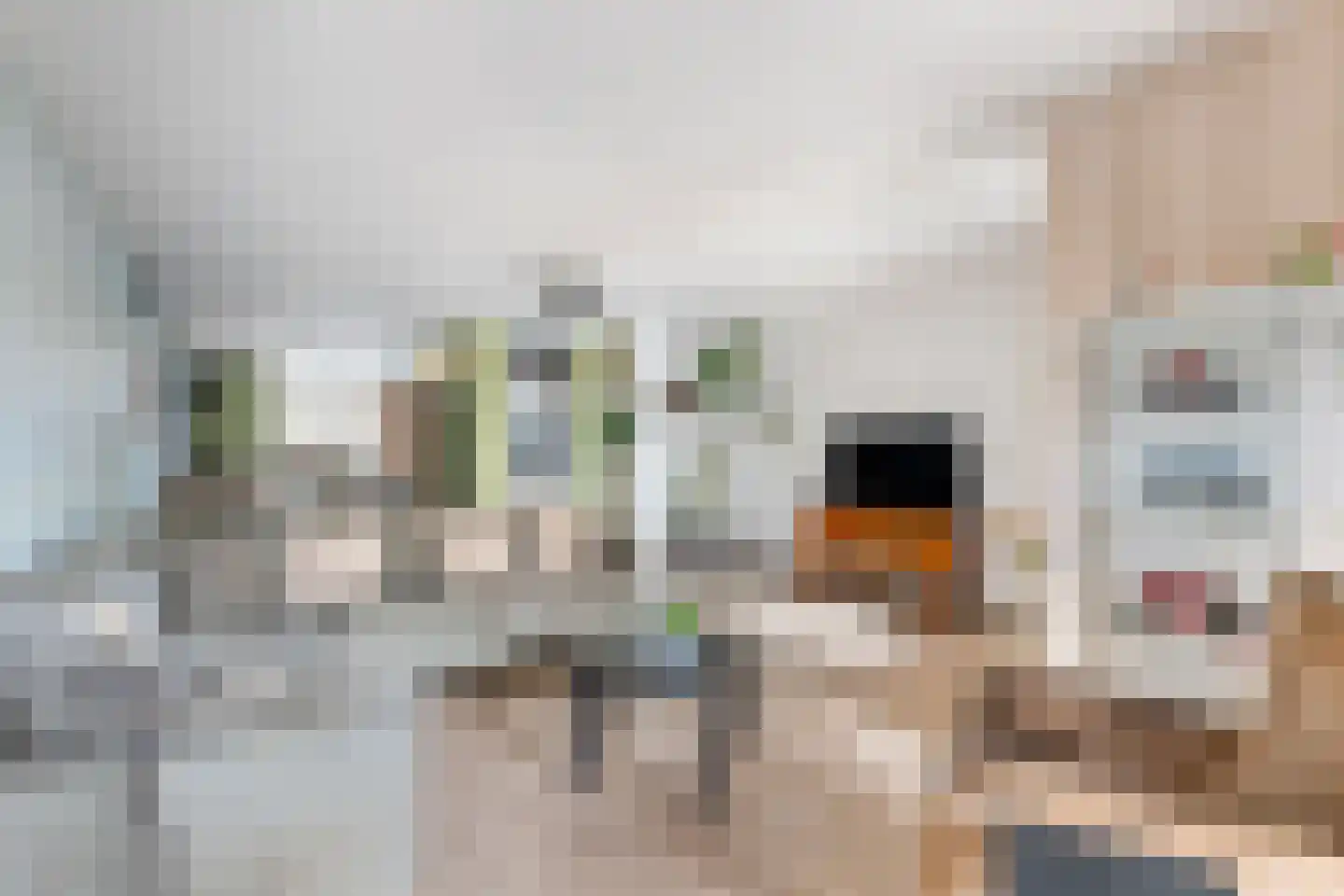 Sterremos 66 Nieuwerkerk aan den IJssel thumbnail 5