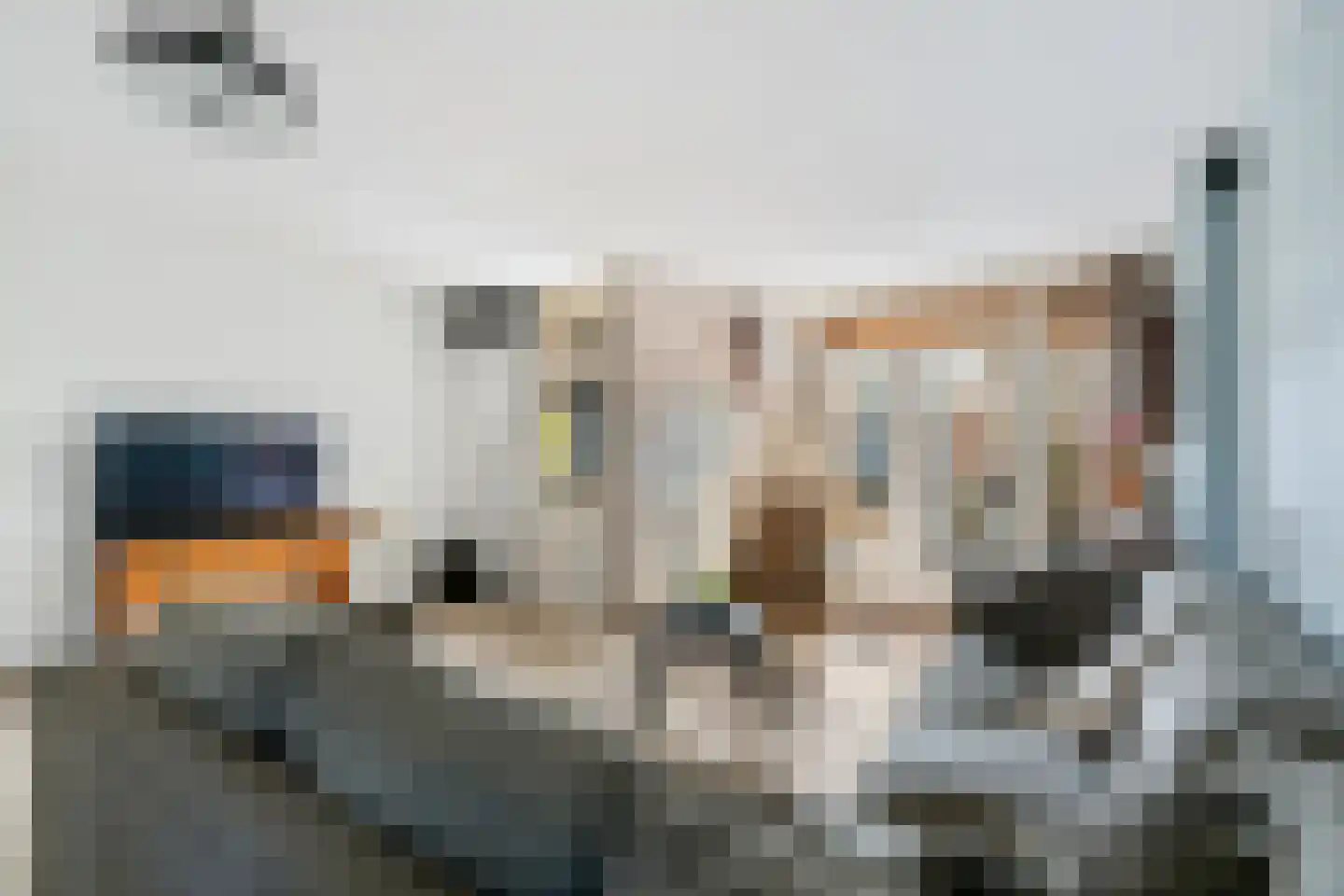 Sterremos 66 Nieuwerkerk aan den IJssel thumbnail 6