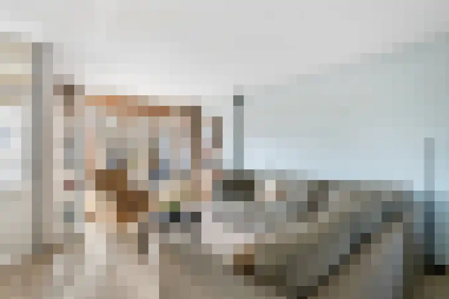 Sterremos 66 Nieuwerkerk aan den IJssel thumbnail 7