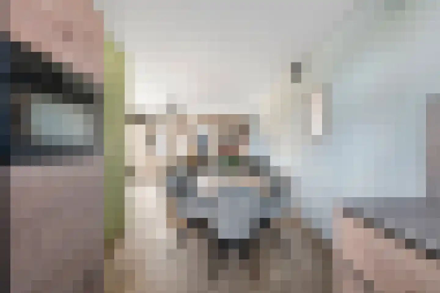 Sterremos 66 Nieuwerkerk aan den IJssel thumbnail 9