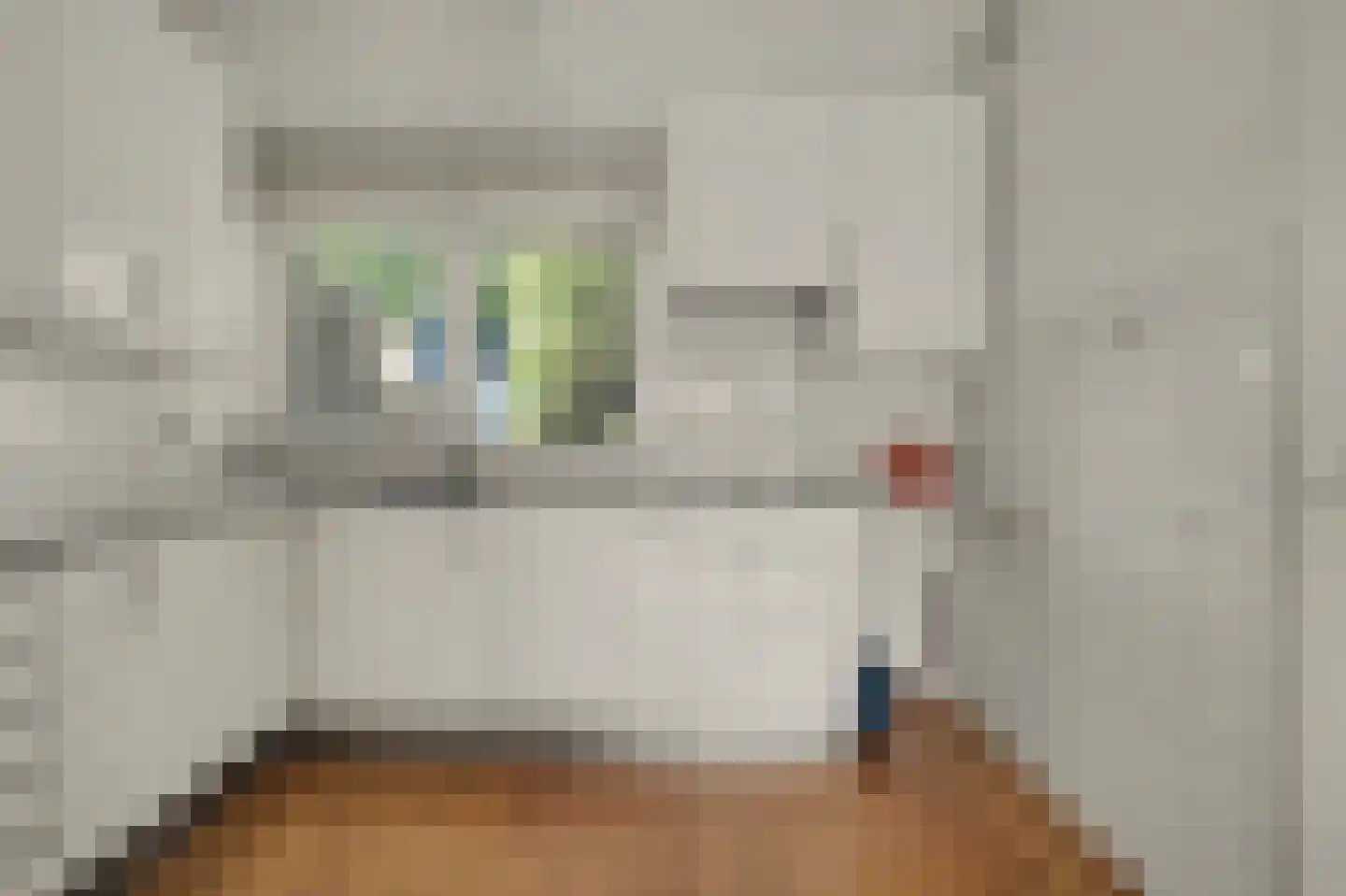 Sterremos 76 Nieuwerkerk aan den IJssel thumbnail 10