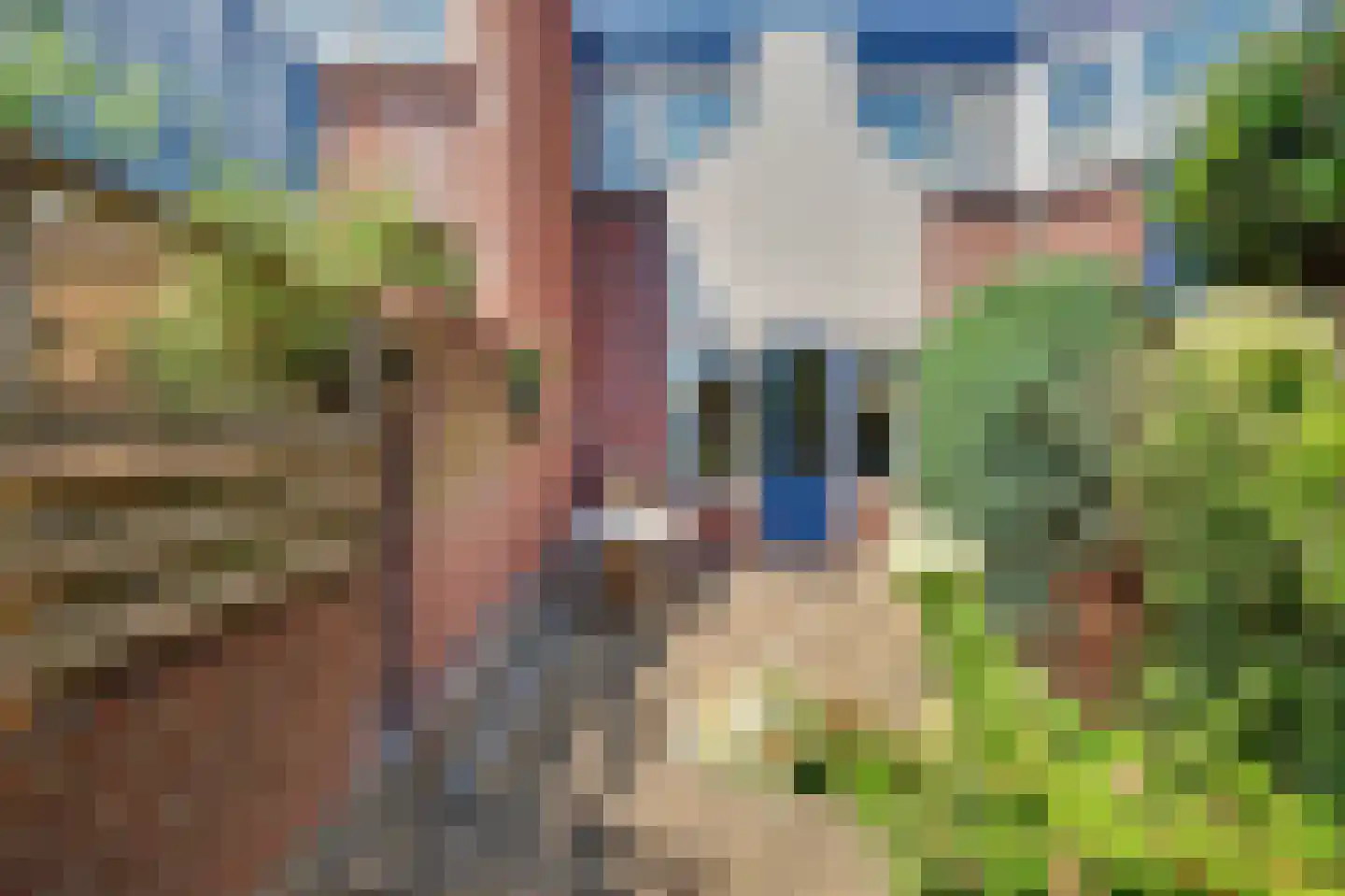Sterremos 76 Nieuwerkerk aan den IJssel thumbnail 28