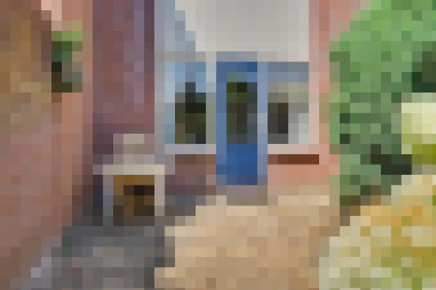 Sterremos 76 Nieuwerkerk aan den IJssel thumbnail 30