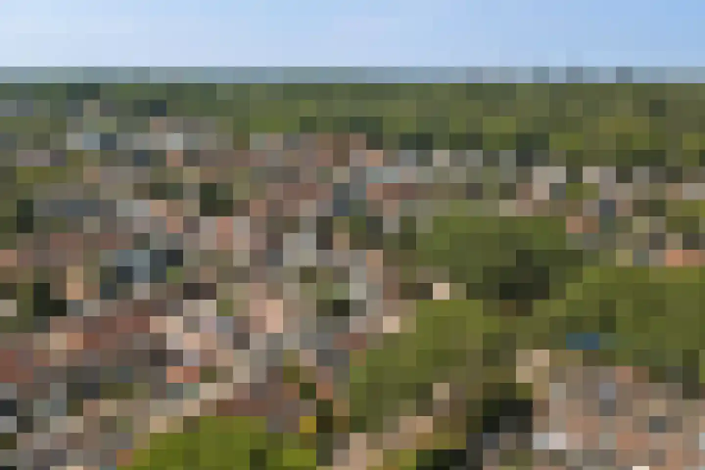 Sterremos 76 Nieuwerkerk aan den IJssel thumbnail 34