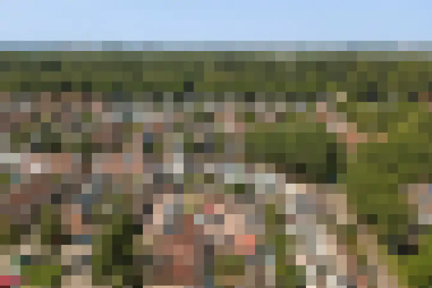 Sterremos 76 Nieuwerkerk aan den IJssel thumbnail 35