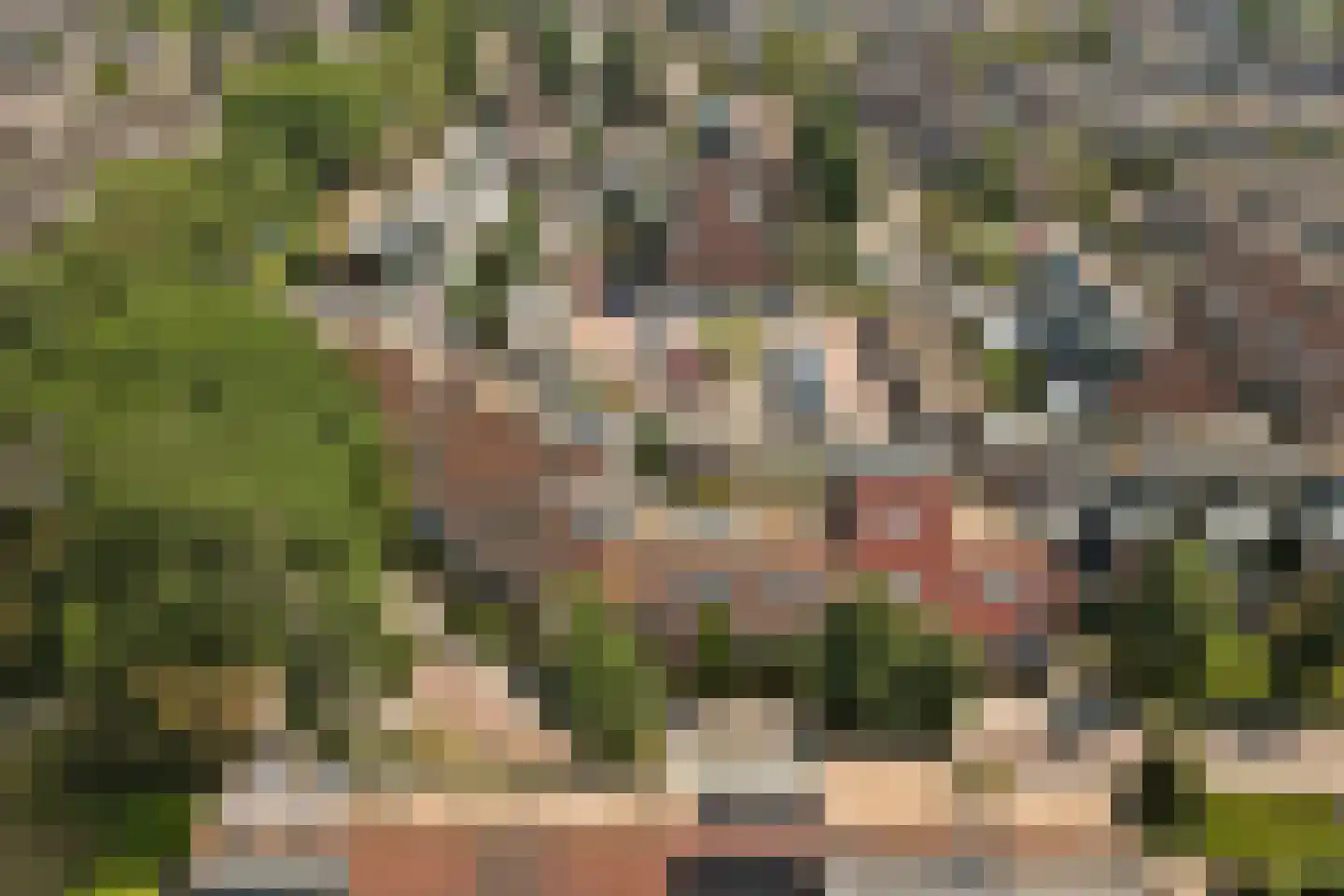 Sterremos 76 Nieuwerkerk aan den IJssel thumbnail 37
