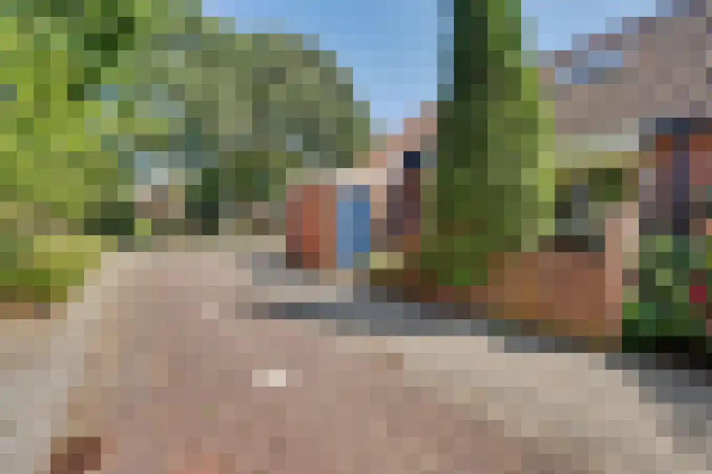 Sterremos 76 Nieuwerkerk aan den IJssel thumbnail 5