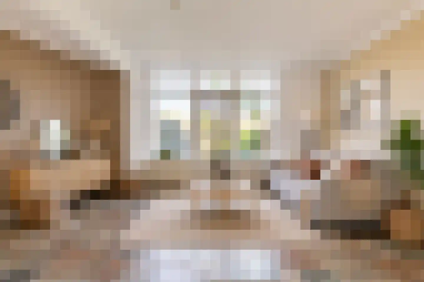 Sterremos 9 Nieuwerkerk aan den IJssel thumbnail 10